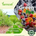 GREEN-PRO-Fruit(EN)