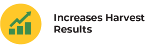 increase
